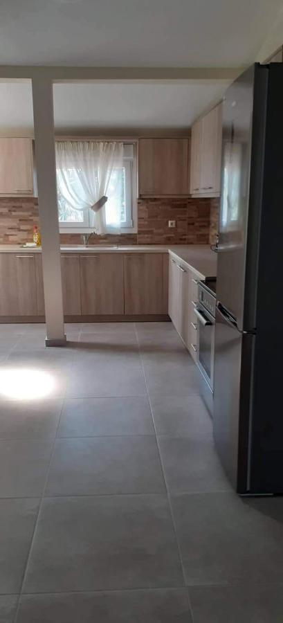 Villa Fotis View Paralía Skotínis 외부 사진